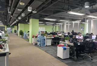 镇江小区绿植租赁服务