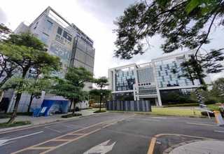 富阳区绿叶植物出租找哪家