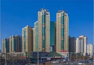 北京实验室磁力搅拌器