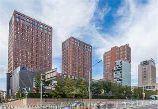 衢州元素分析碳硫分析仪