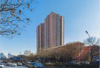 宜兴**绿植租赁价位