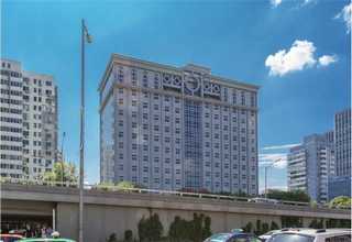 褐色抗培特隔断直销