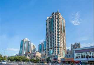 山西猫瘟抗原检测卡